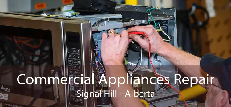 Commercial Appliances Repair Signal Hill - Alberta