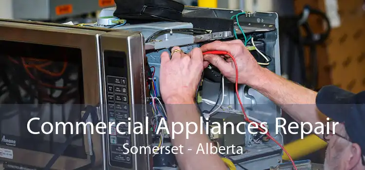 Commercial Appliances Repair Somerset - Alberta