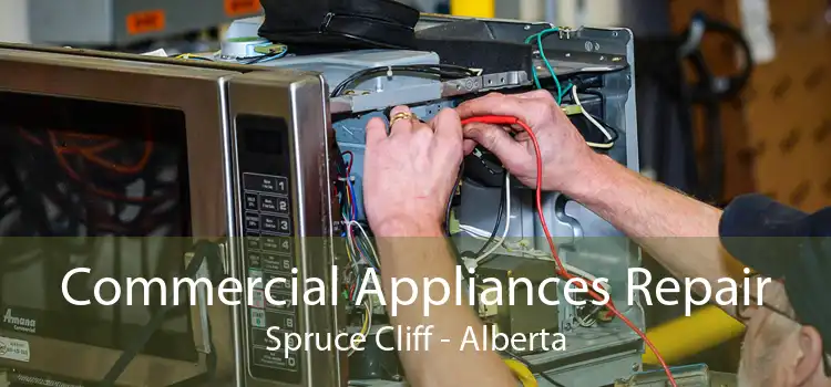 Commercial Appliances Repair Spruce Cliff - Alberta