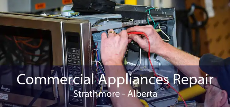 Commercial Appliances Repair Strathmore - Alberta