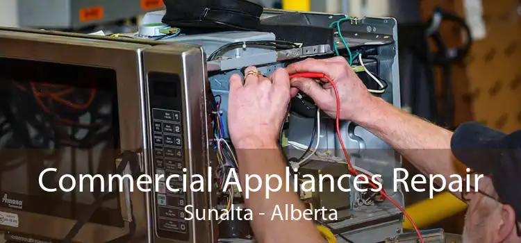 Commercial Appliances Repair Sunalta - Alberta