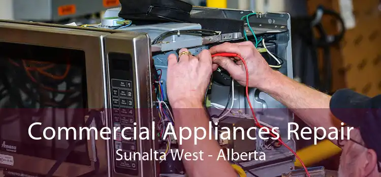 Commercial Appliances Repair Sunalta West - Alberta