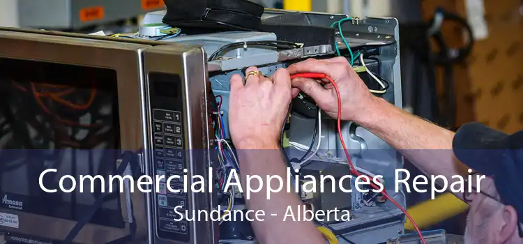 Commercial Appliances Repair Sundance - Alberta