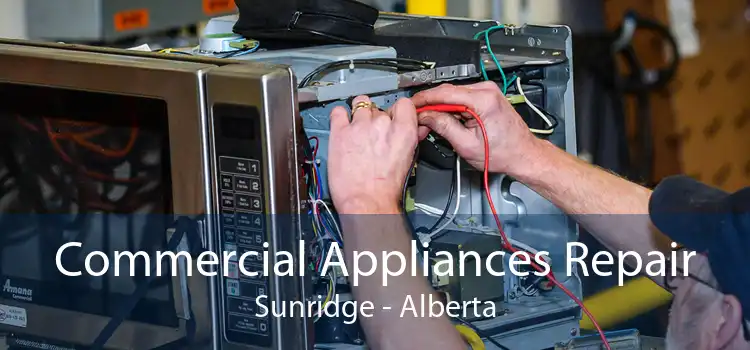 Commercial Appliances Repair Sunridge - Alberta