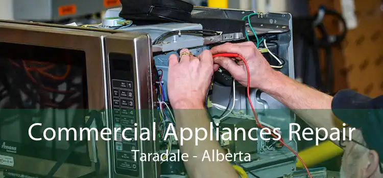 Commercial Appliances Repair Taradale - Alberta