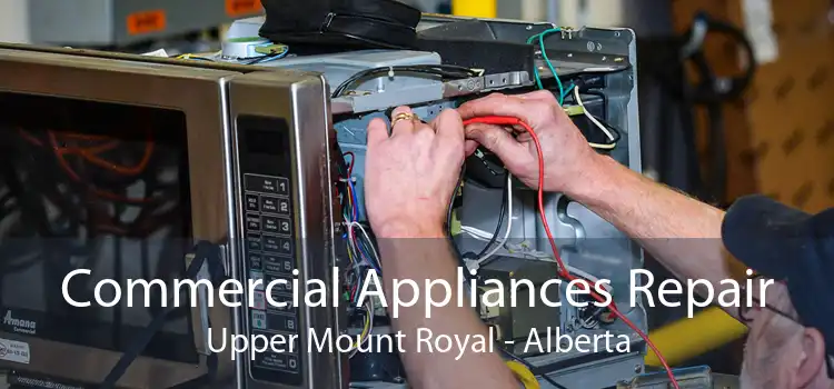 Commercial Appliances Repair Upper Mount Royal - Alberta