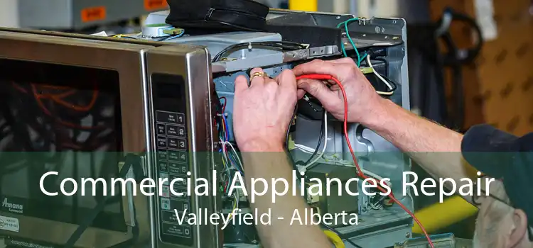 Commercial Appliances Repair Valleyfield - Alberta