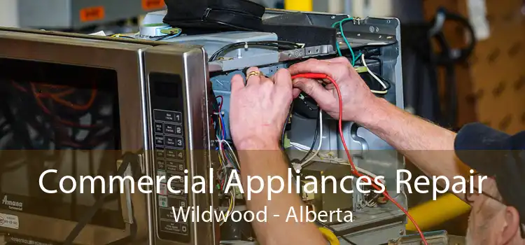 Commercial Appliances Repair Wildwood - Alberta