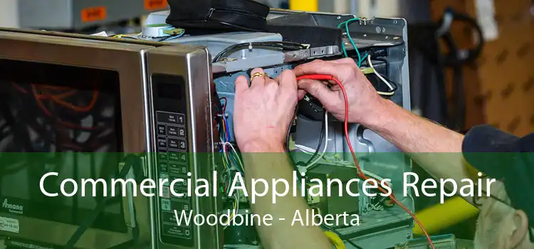 Commercial Appliances Repair Woodbine - Alberta