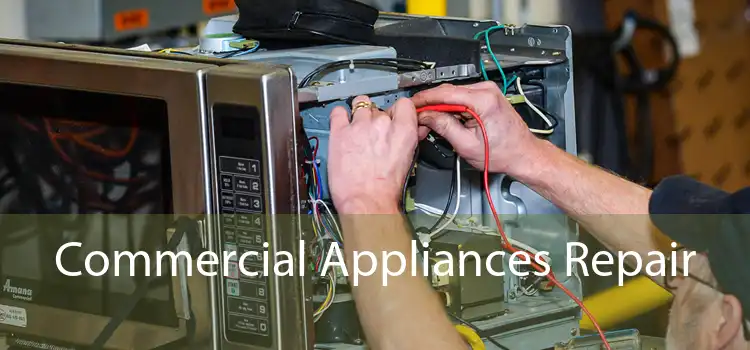 Commercial Appliances Repair 