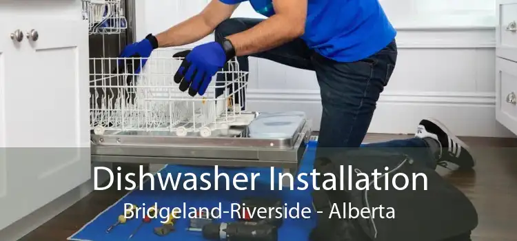 Dishwasher Installation Bridgeland-Riverside - Alberta