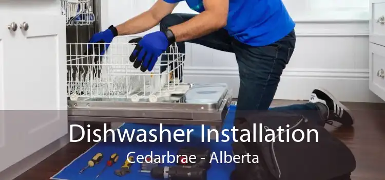 Dishwasher Installation Cedarbrae - Alberta