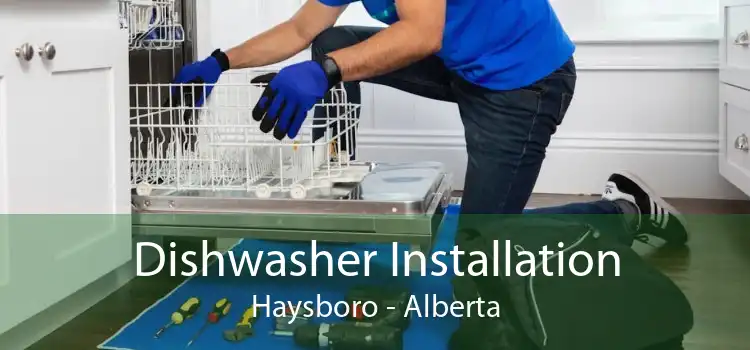 Dishwasher Installation Haysboro - Alberta