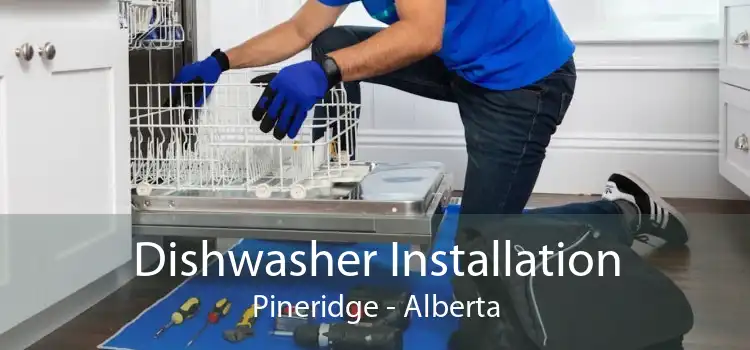Dishwasher Installation Pineridge - Alberta
