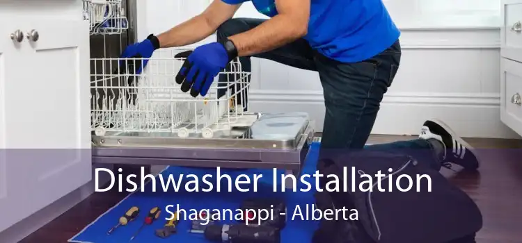 Dishwasher Installation Shaganappi - Alberta