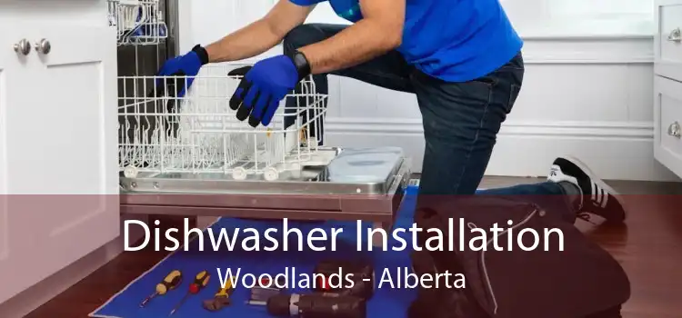 Dishwasher Installation Woodlands - Alberta