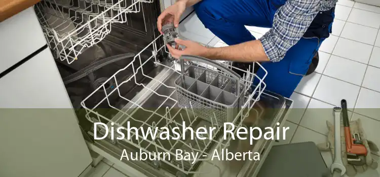 Dishwasher Repair Auburn Bay - Alberta