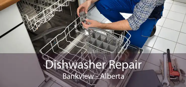 Dishwasher Repair Bankview - Alberta