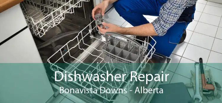 Dishwasher Repair Bonavista Downs - Alberta