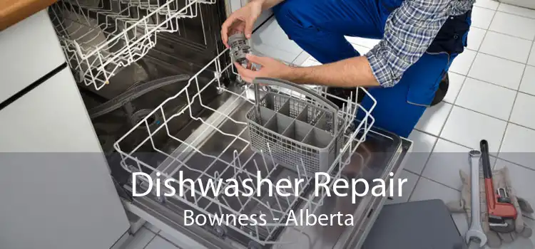 Dishwasher Repair Bowness - Alberta