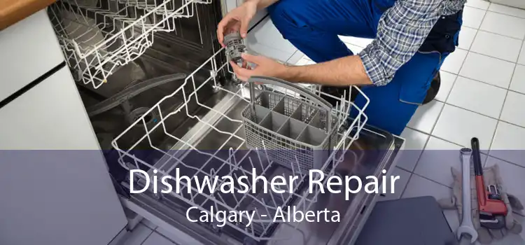 Dishwasher Repair Calgary - Alberta