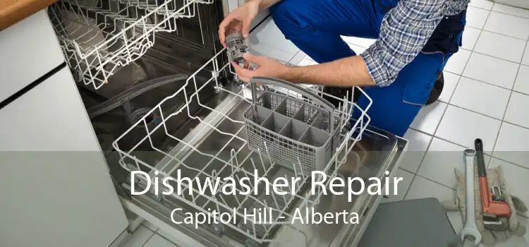 Dishwasher Repair Capitol Hill - Alberta