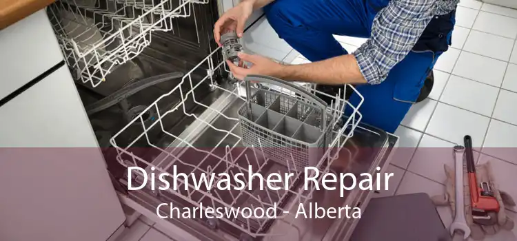 Dishwasher Repair Charleswood - Alberta