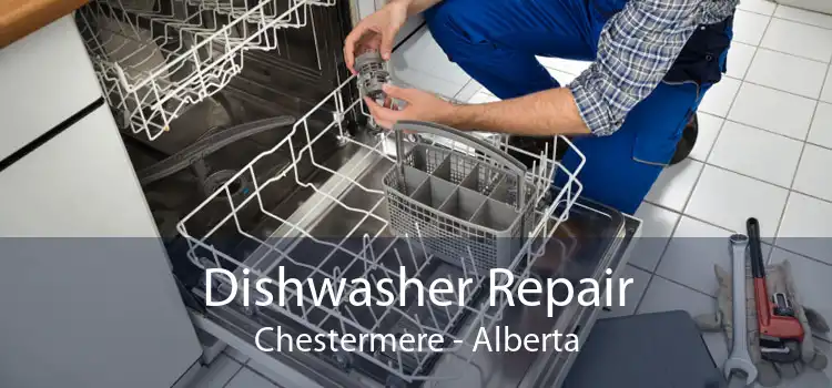 Dishwasher Repair Chestermere - Alberta