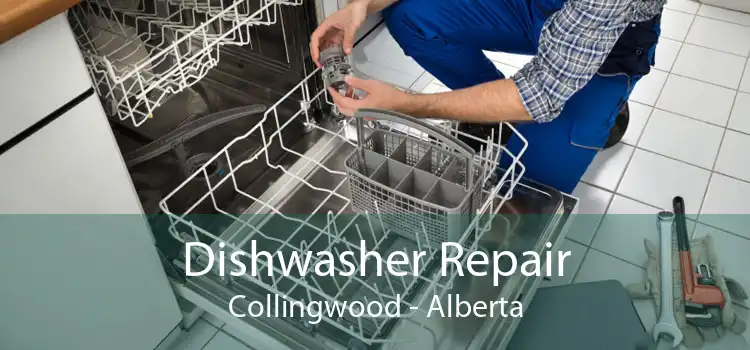 Dishwasher Repair Collingwood - Alberta