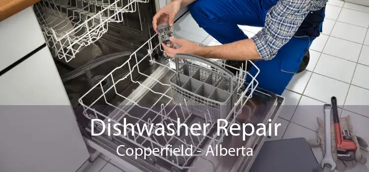 Dishwasher Repair Copperfield - Alberta