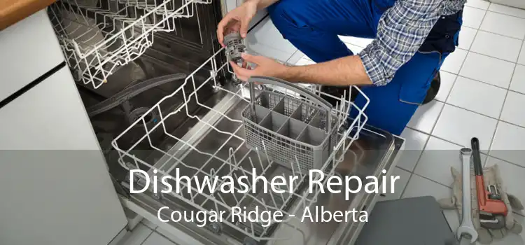 Dishwasher Repair Cougar Ridge - Alberta