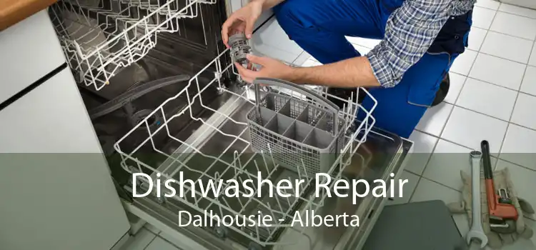 Dishwasher Repair Dalhousie - Alberta