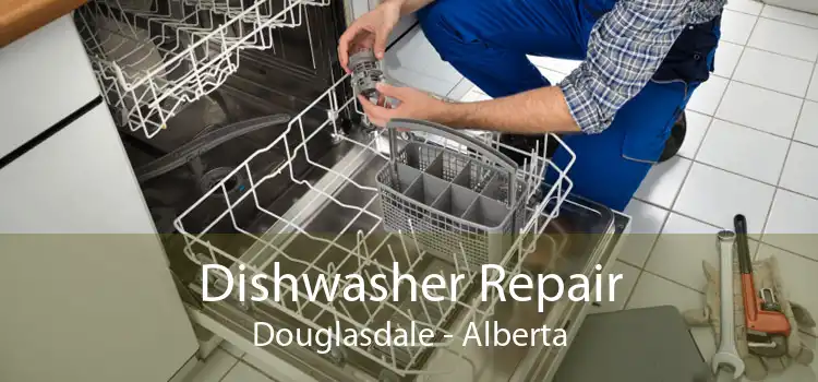 Dishwasher Repair Douglasdale - Alberta