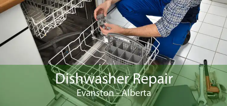 Dishwasher Repair Evanston - Alberta