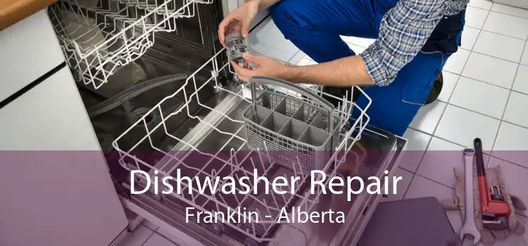 Dishwasher Repair Franklin - Alberta