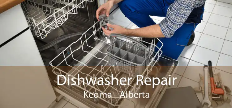 Dishwasher Repair Keoma - Alberta