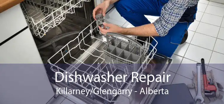 Dishwasher Repair Killarney/Glengarry - Alberta