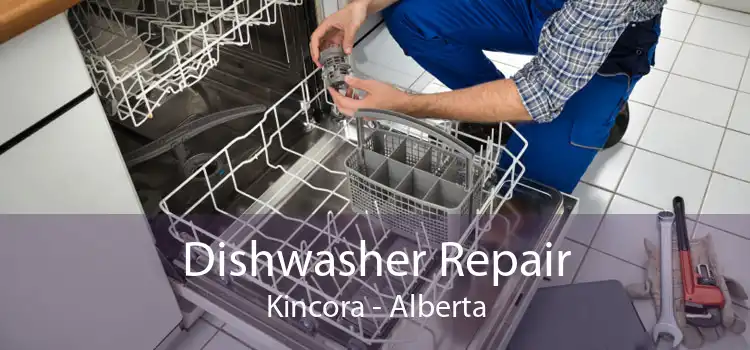 Dishwasher Repair Kincora - Alberta