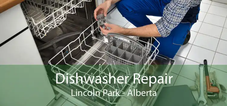 Dishwasher Repair Lincoln Park - Alberta