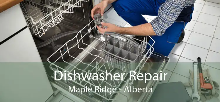 Dishwasher Repair Maple Ridge - Alberta