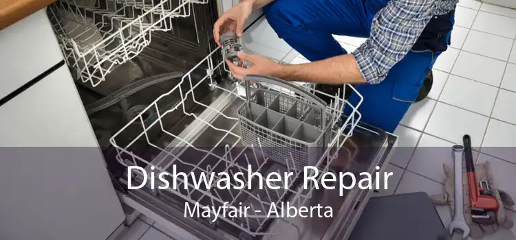 Dishwasher Repair Mayfair - Alberta
