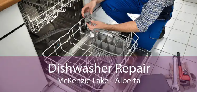 Dishwasher Repair McKenzie Lake - Alberta