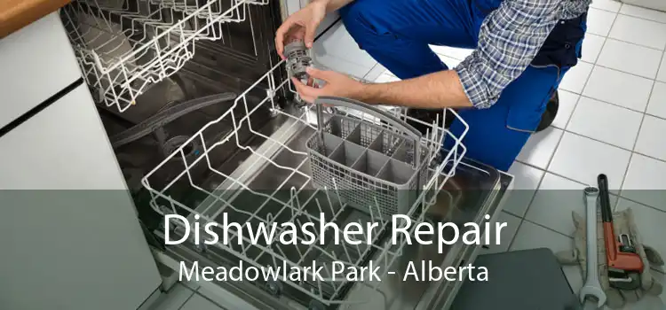 Dishwasher Repair Meadowlark Park - Alberta