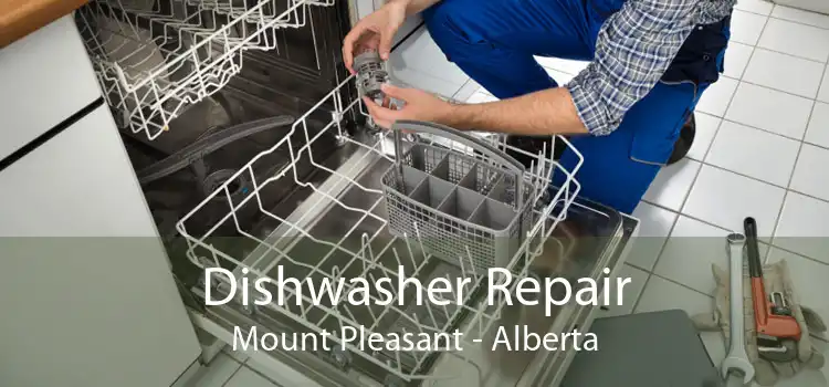Dishwasher Repair Mount Pleasant - Alberta