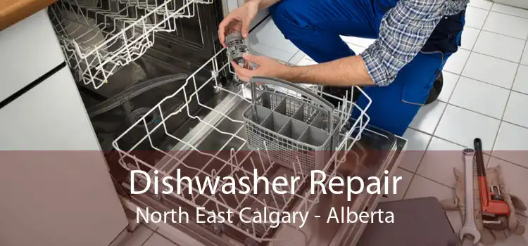 Dishwasher Repair North East Calgary - Alberta