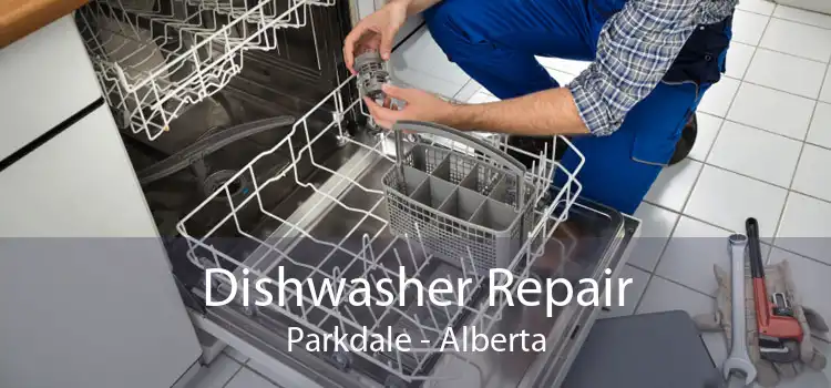Dishwasher Repair Parkdale - Alberta
