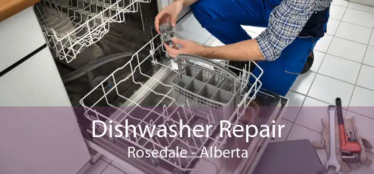 Dishwasher Repair Rosedale - Alberta