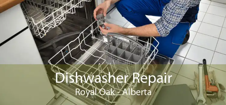 Dishwasher Repair Royal Oak - Alberta