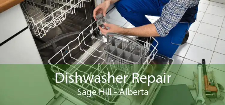 Dishwasher Repair Sage Hill - Alberta