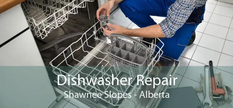 Dishwasher Repair Shawnee Slopes - Alberta